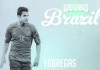 Cesc Fabregas - FUTBOLSELECCION