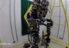 El saque de honor de Brasil 2014 lo realizará un chico con paraplejia - FÚTBOLSELECCIÓN