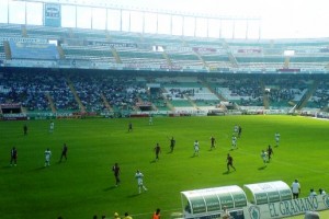 Porque soy del Elche CF - FÚTBOLSELECCIÓN